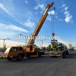 چرا جرثقیل آب نیکی